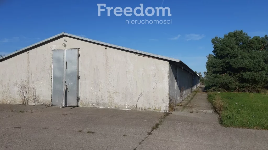 Magazyn 1 292,00 m², oferta nr , 678/3685/OOS, Worgule