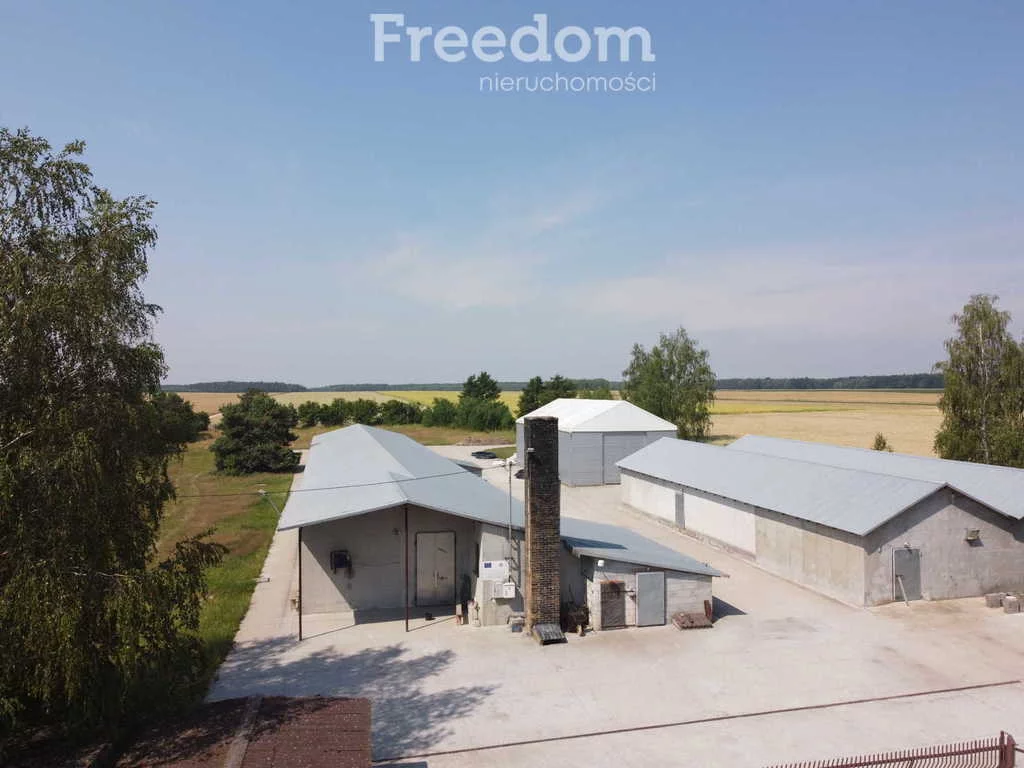 Magazyn 1 292,00 m², oferta nr , 678/3685/OOS, Worgule