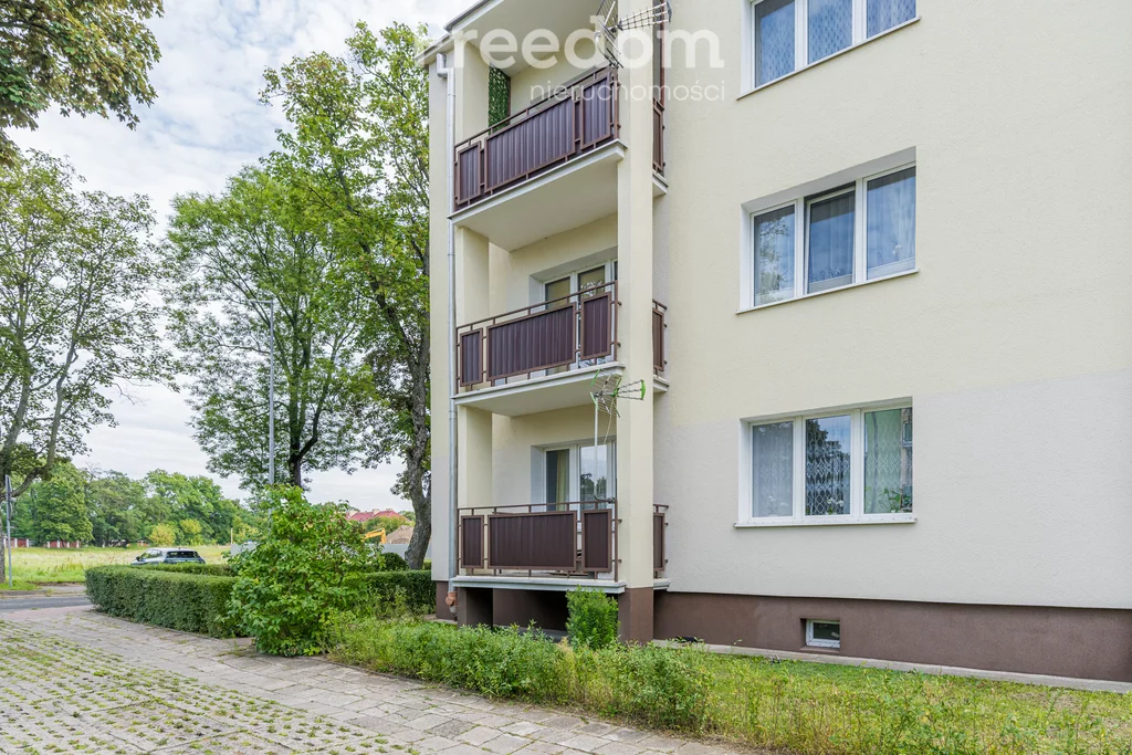 39792/3685/OMS - zdjęcie nr 3