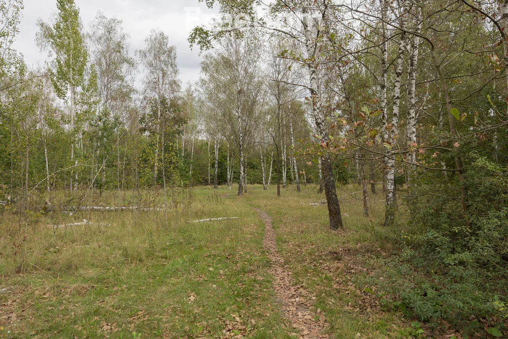 1 pokój, mieszkanie 26,90 m², parter, oferta nr , 40295/3685/OMS, Warszawa, Wawer, Wawer, Króla Maciusia