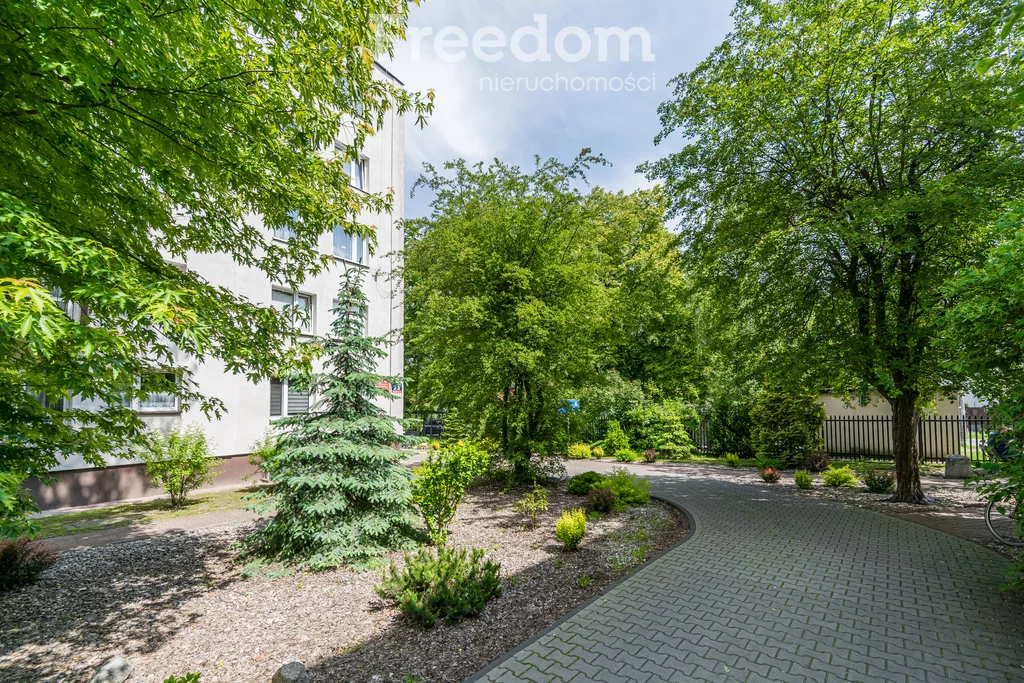 1 pokój, mieszkanie 29,46 m², piętro 1, oferta nr , 7118/3685/OMW, Radzymin, Stary Rynek