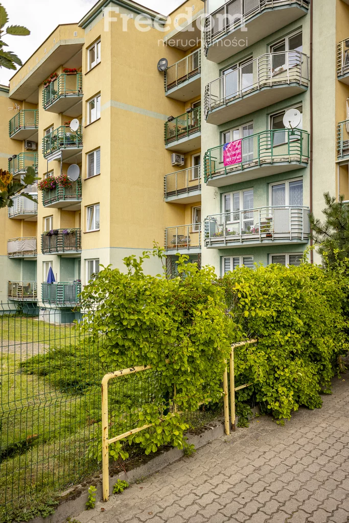 39706/3685/OMS - zdjęcie nr 2
