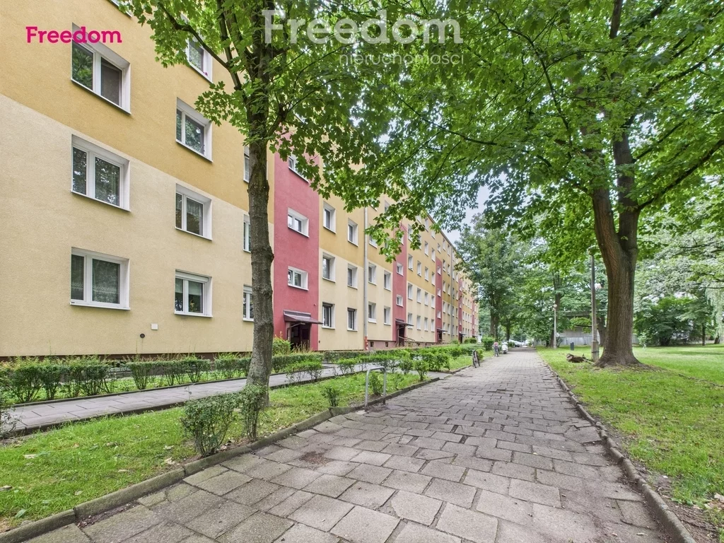 39352/3685/OMS - zdjęcie nr 0
