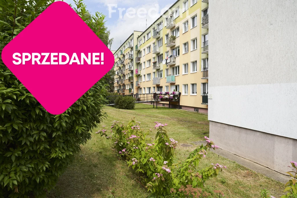39318/3685/OMS - zdjęcie nr 3