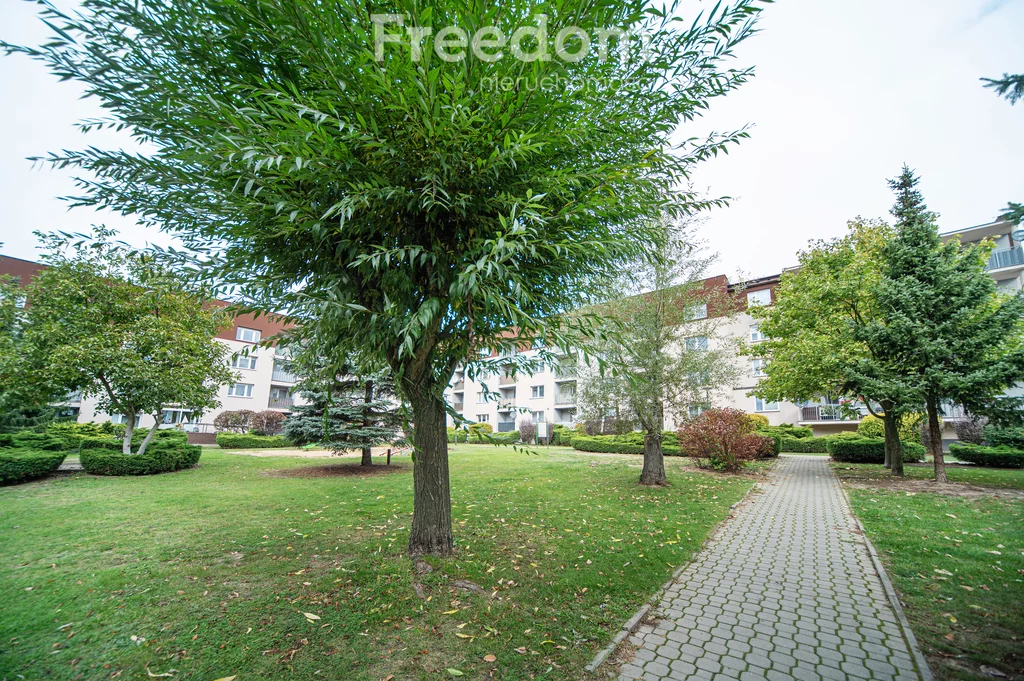 2 pokoje, mieszkanie 43,60 m², piętro 2, oferta nr , 40477/3685/OMS, Tarczyn, mjr. Edwarda Ziółkowskiego