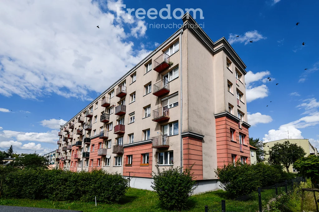 2 pokoje, mieszkanie 37,52 m², piętro 1, oferta nr , 39786/3685/OMS, Iława, Grunwaldzka