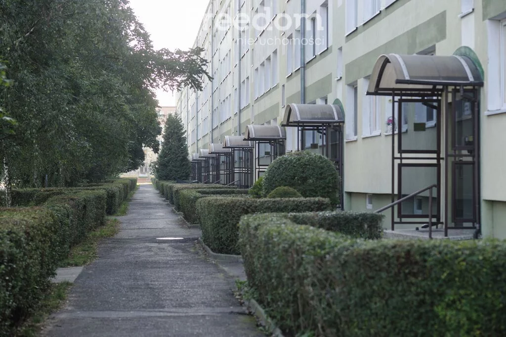 2 pokoje, mieszkanie 36,90 m², piętro 4, oferta nr , 40470/3685/OMS, Toruń, Bielany, Jurija Gagarina