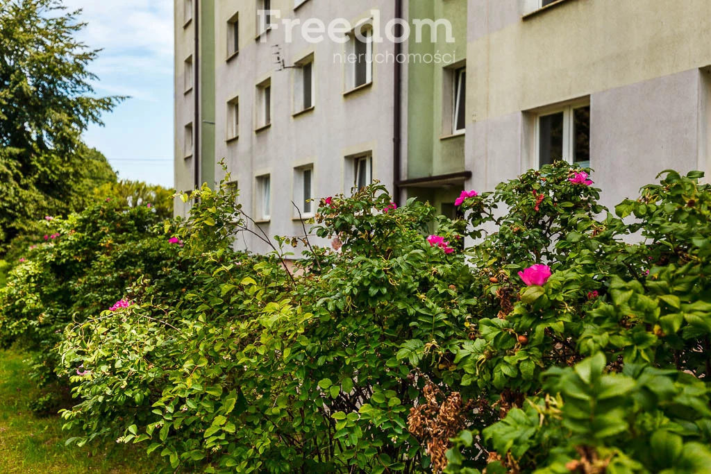 2 pokoje, mieszkanie 38,80 m², piętro 1, oferta nr , 39830/3685/OMS, Starogard Gdański, Skarszewska