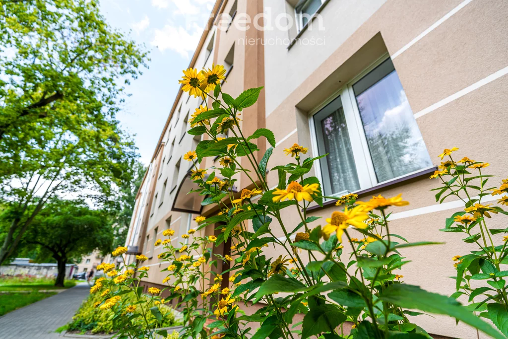 2 pokoje, mieszkanie 46,00 m², piętro 3, oferta nr , 39637/3685/OMS, Warszawa, Praga Południe, Praga Południe, Suchodolska
