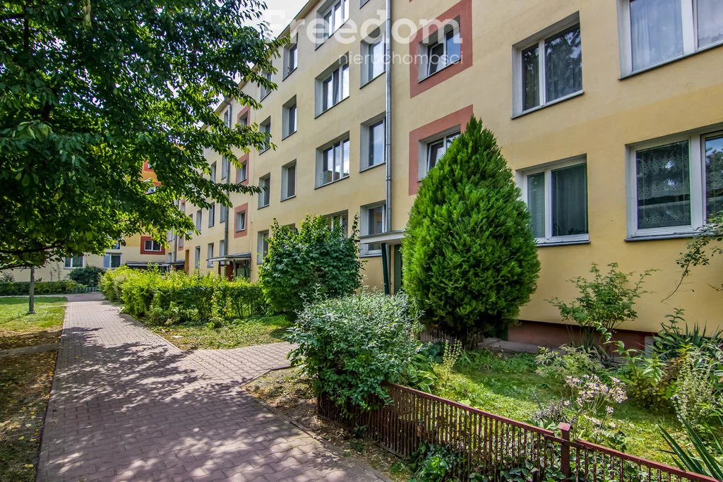 2 pokoje, mieszkanie 39,78 m², parter, oferta nr , 40059/3685/OMS, Chełm, Wolności