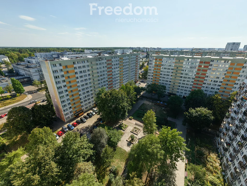 40067/3685/OMS - zdjęcie nr 2