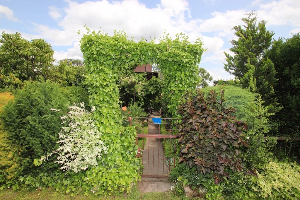 3 pokoje, mieszkanie 60,55 m², piętro 1, oferta nr , 38934/3685/OMS, Koło