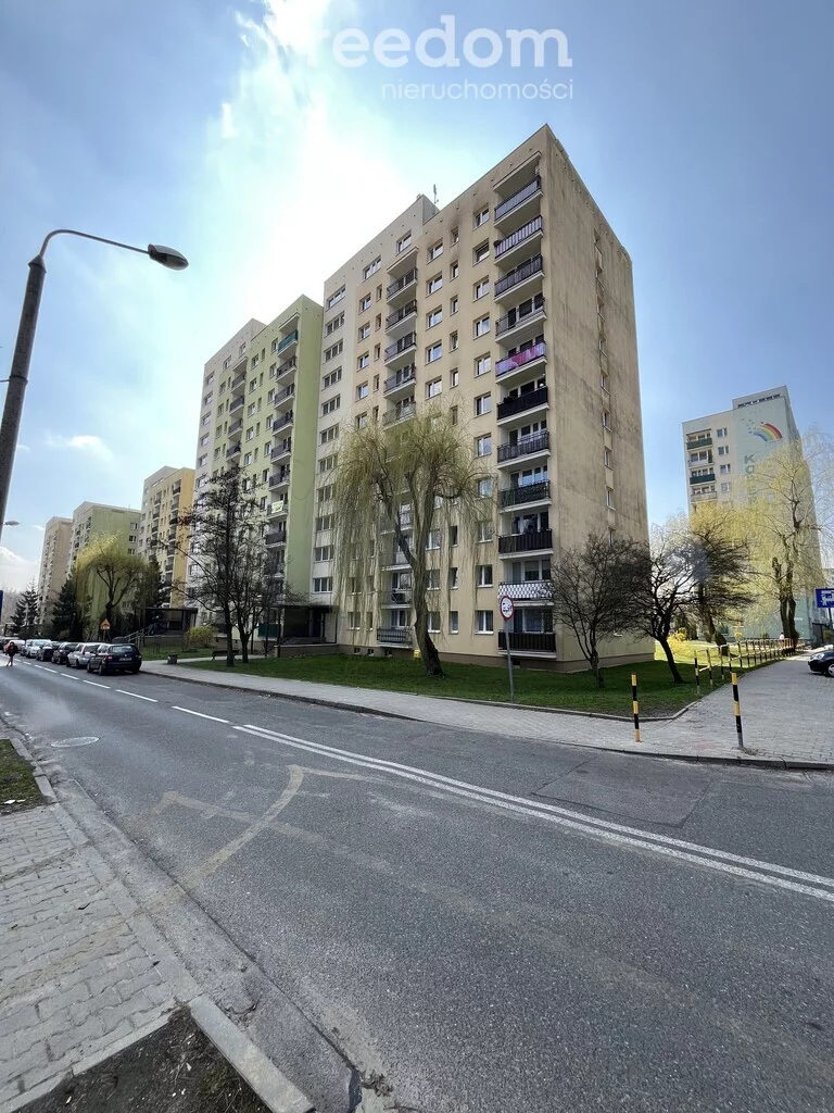 37556/3685/OMS - zdjęcie nr 4