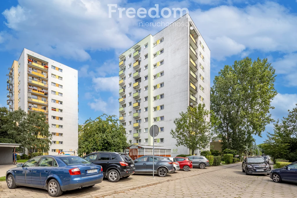 39807/3685/OMS - zdjęcie nr 2
