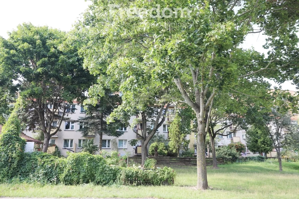 4 pokoje, mieszkanie 76,80 m², piętro 3, oferta nr , 39724/3685/OMS, Białystok, Białostoczek, Zagumienna