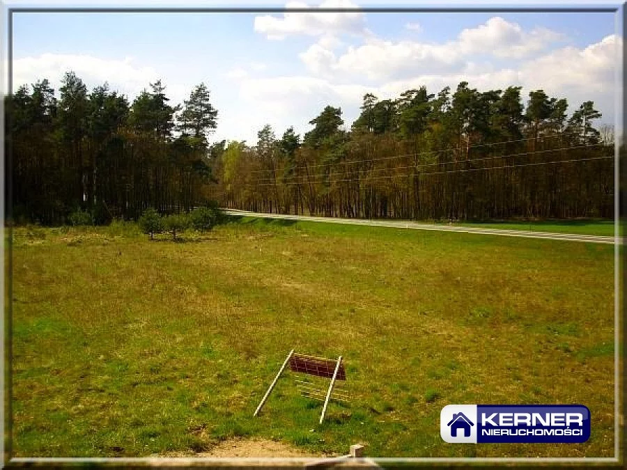 Dom 423,00 m², oferta nr , 26283/KRN/DS-26380, Goleniów