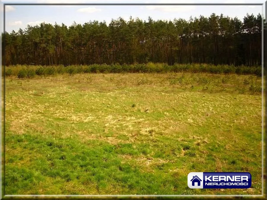 Lokal gastronomiczny 423,00 m², oferta nr , 26285/KRN/LS-26382, Goleniów