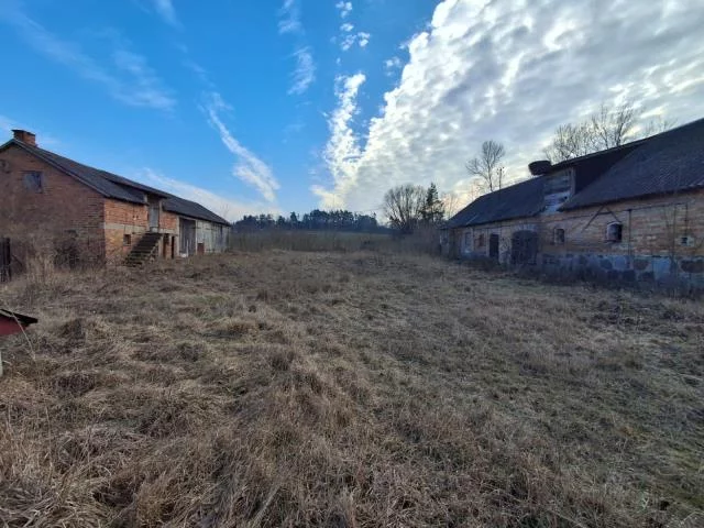 102241 - zdjęcie nr 3