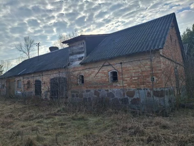 102242 - zdjęcie nr 2