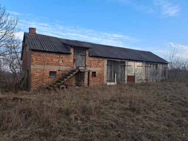102242 - zdjęcie nr 4