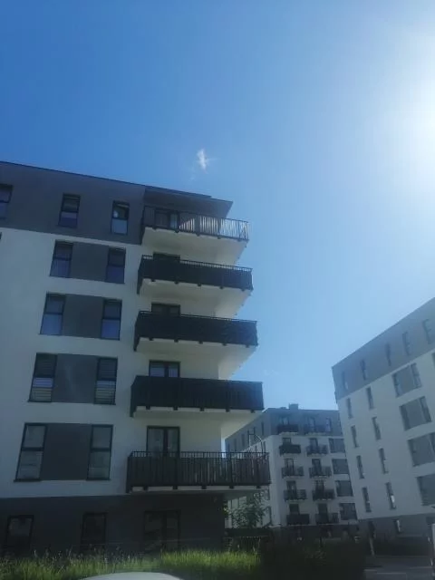 100816 - zdjęcie nr 0