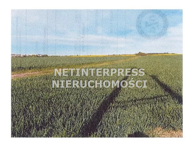 NET-GS-1817 - zdjęcie nr 0