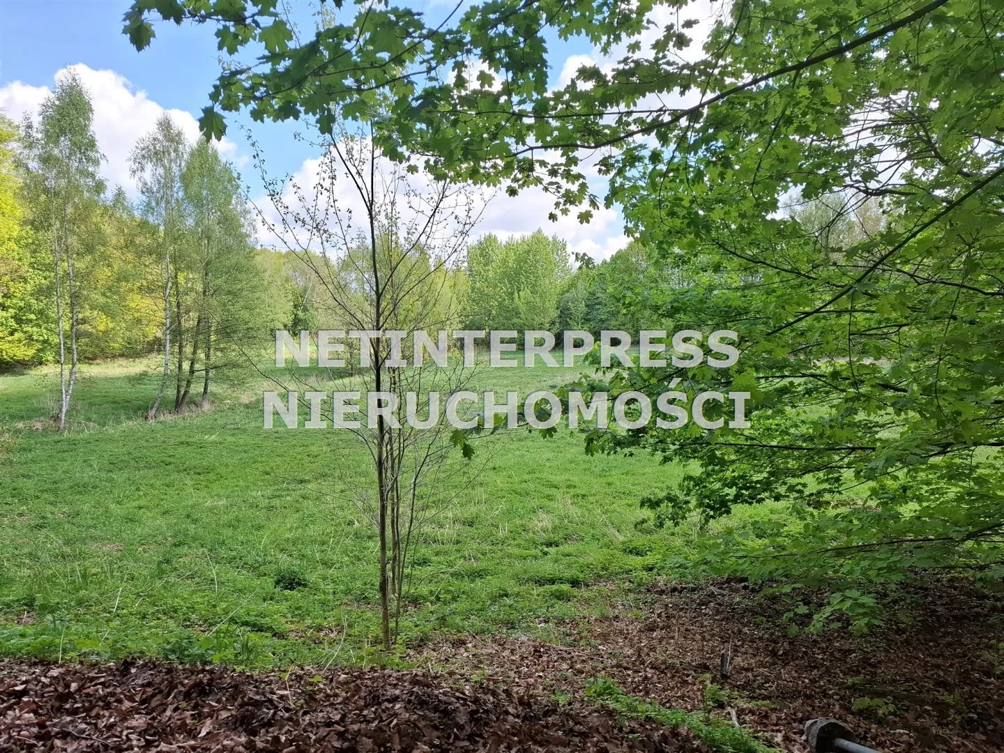 Apartamenty NET-GS-1845 Szczecinek