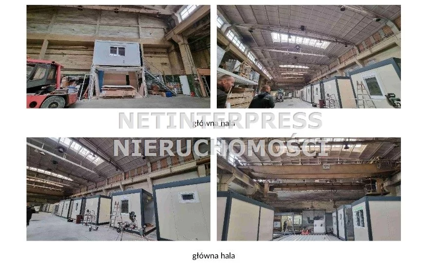 Magazyn 3 254,90 m², oferta nr , NET-BS-1827, Lubań