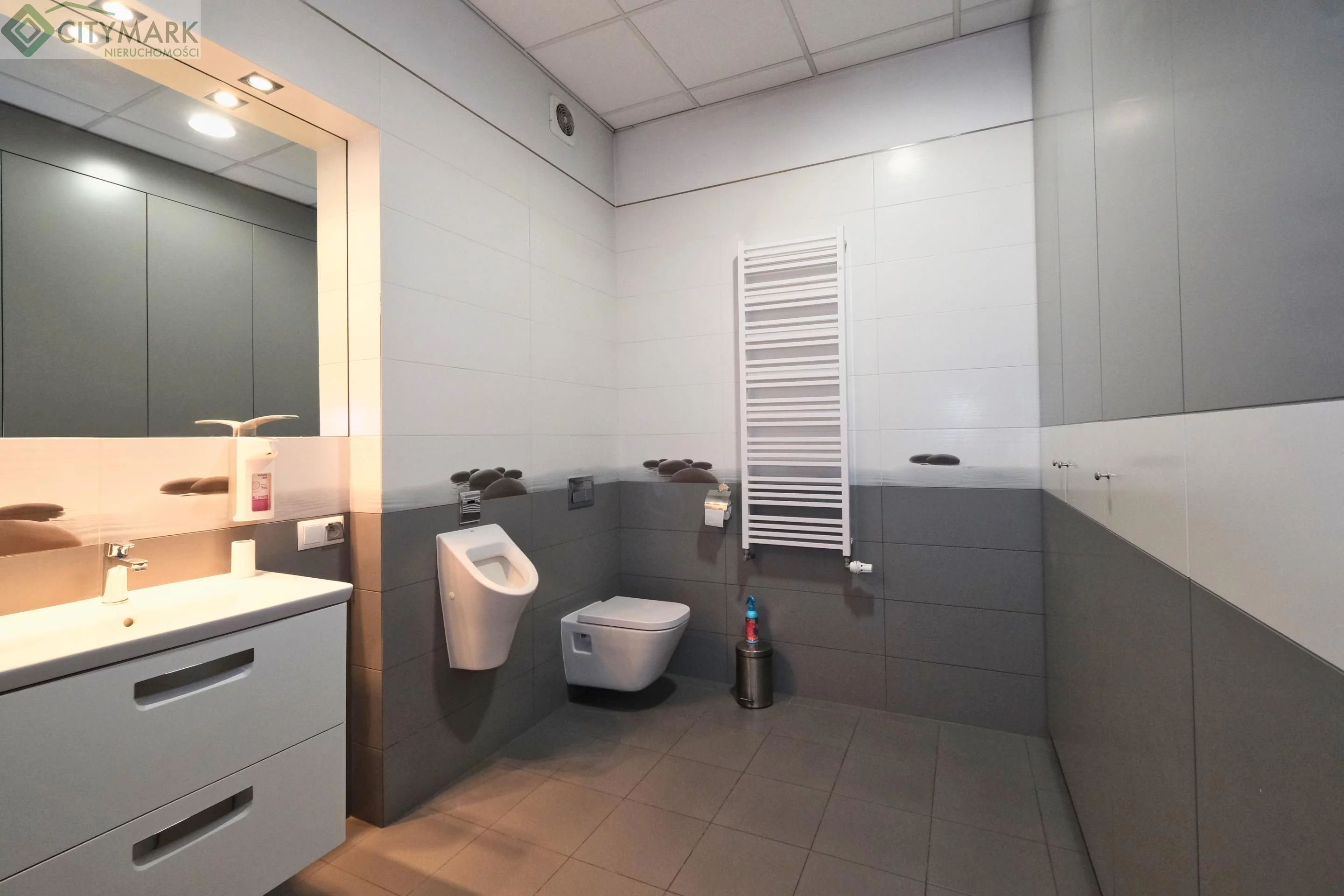 Biuro 220,75 m², oferta nr , 82056W, Opacz-Kolonia