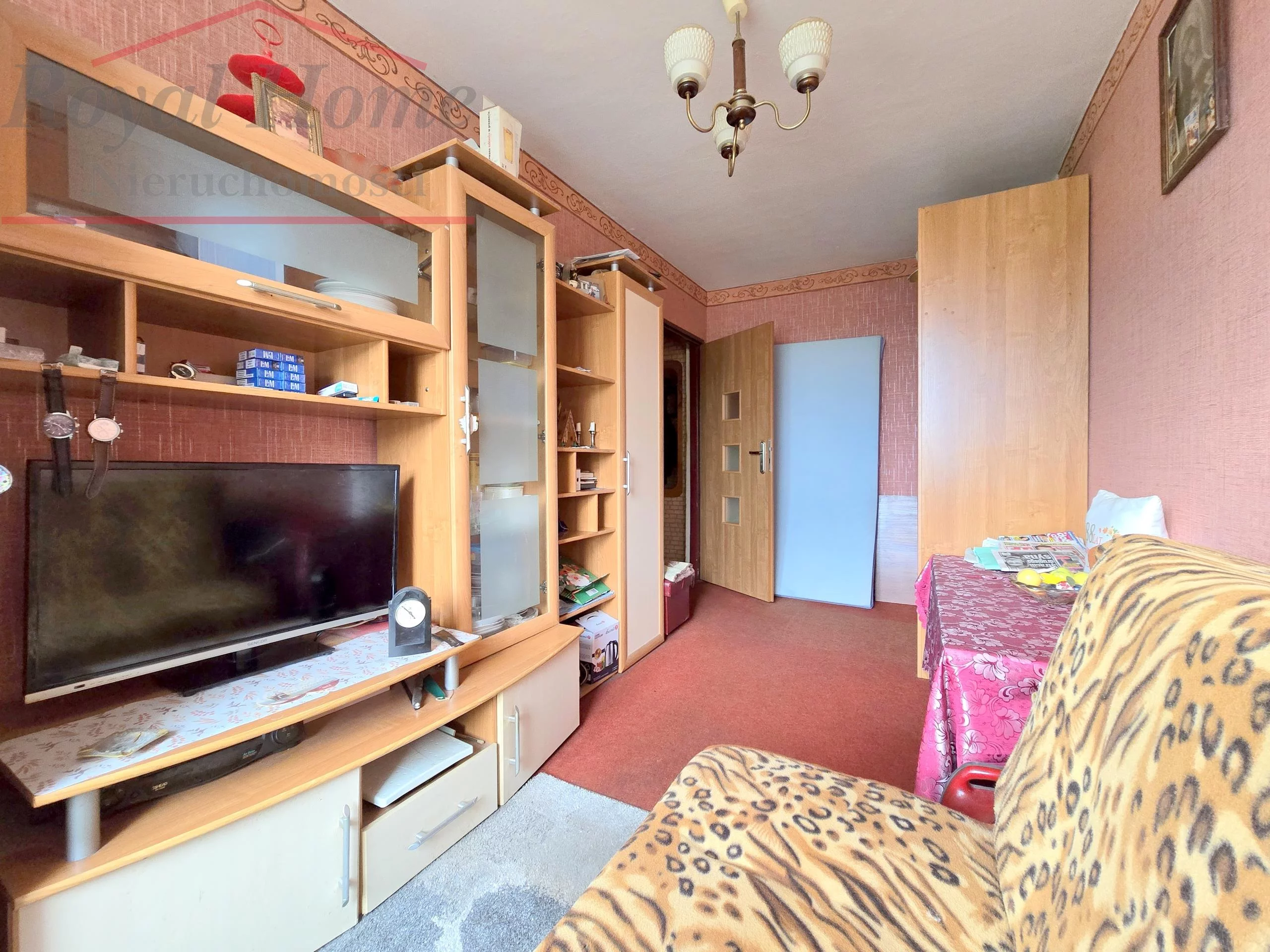 2326 - zdjęcie nr 3
