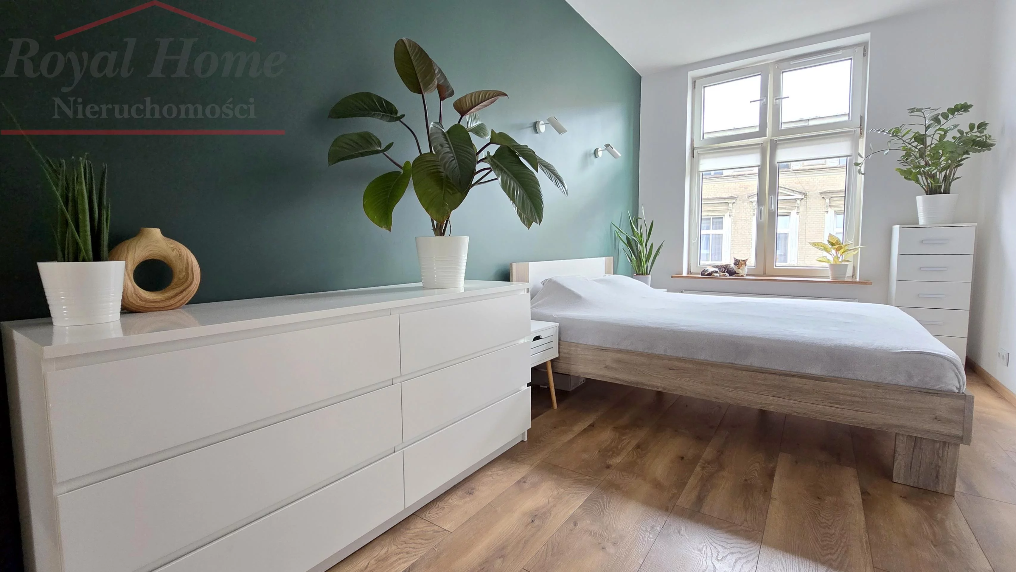 2345 - zdjęcie nr 3