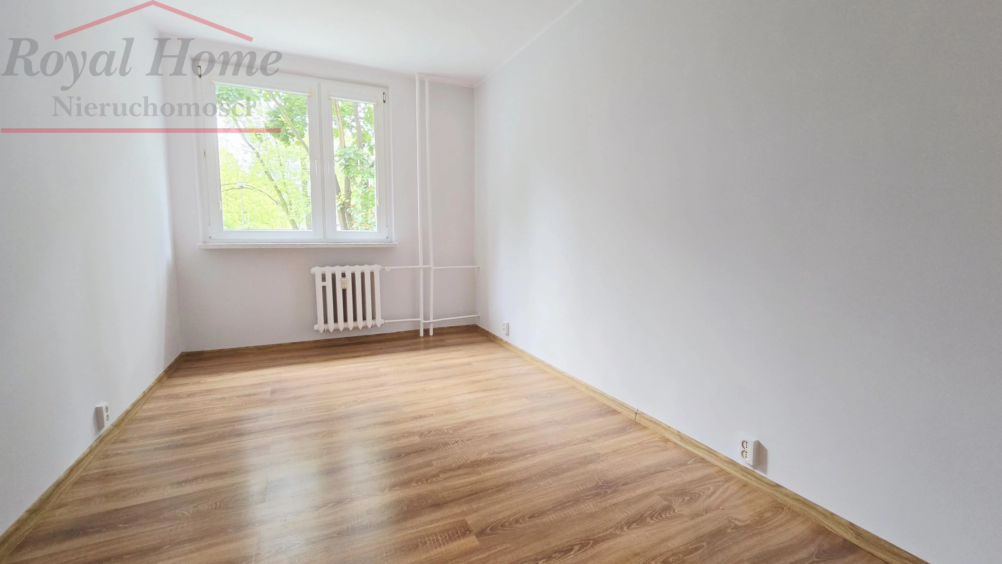 2329 - zdjęcie nr 1