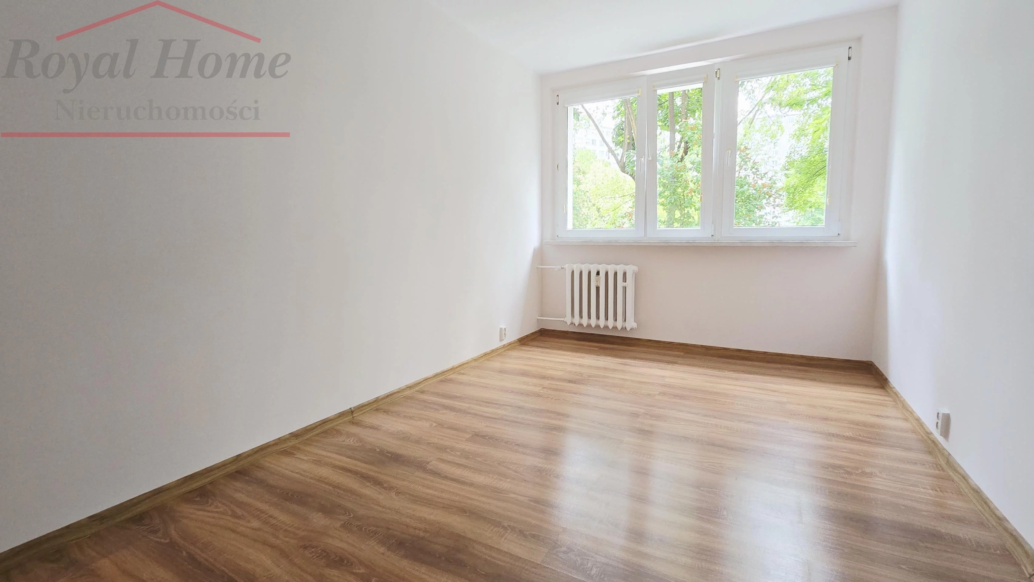 2329 - zdjęcie nr 3