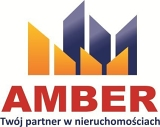 Amber Nieruchomości