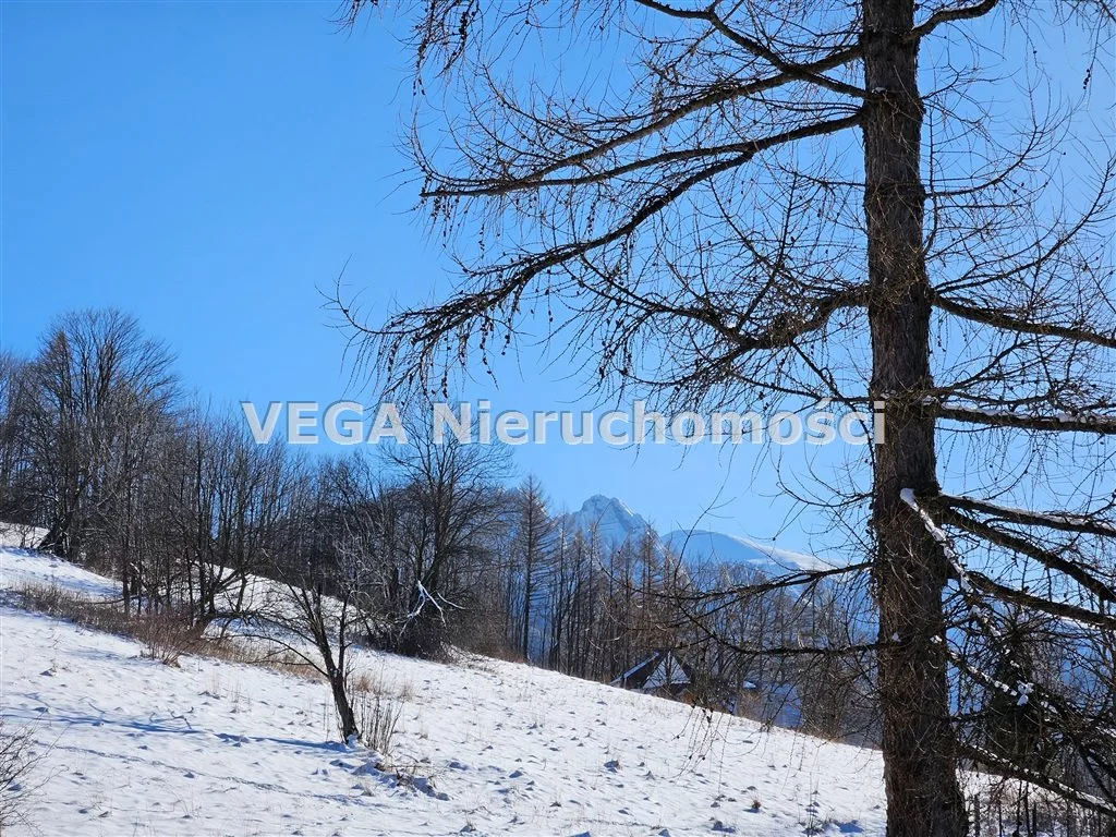 Dom i rezydencja 305,18 m², oferta nr , DS-1050, Zakopane