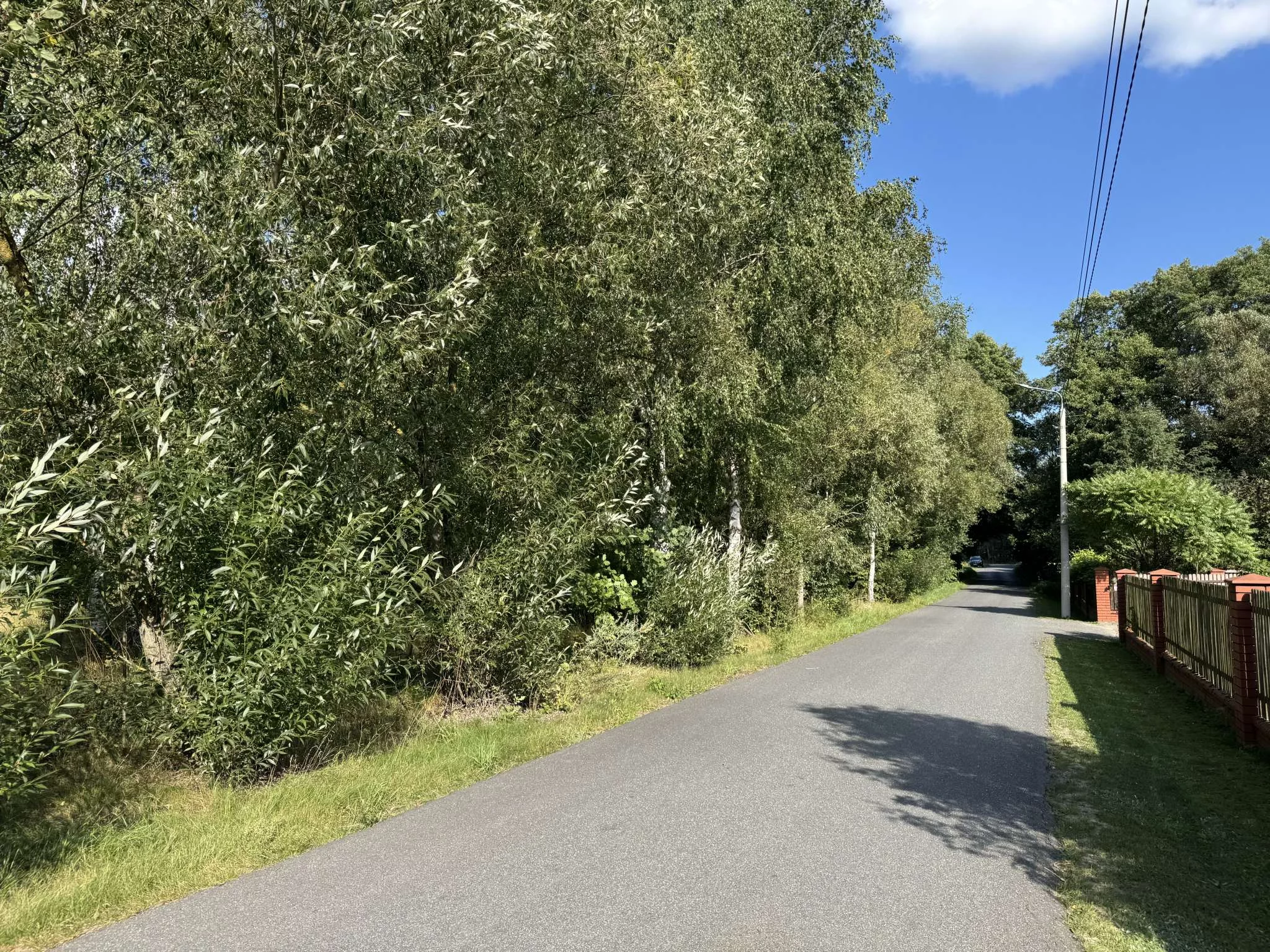 Apartamenty 567 Stare Budy Radziejowskie Leśna