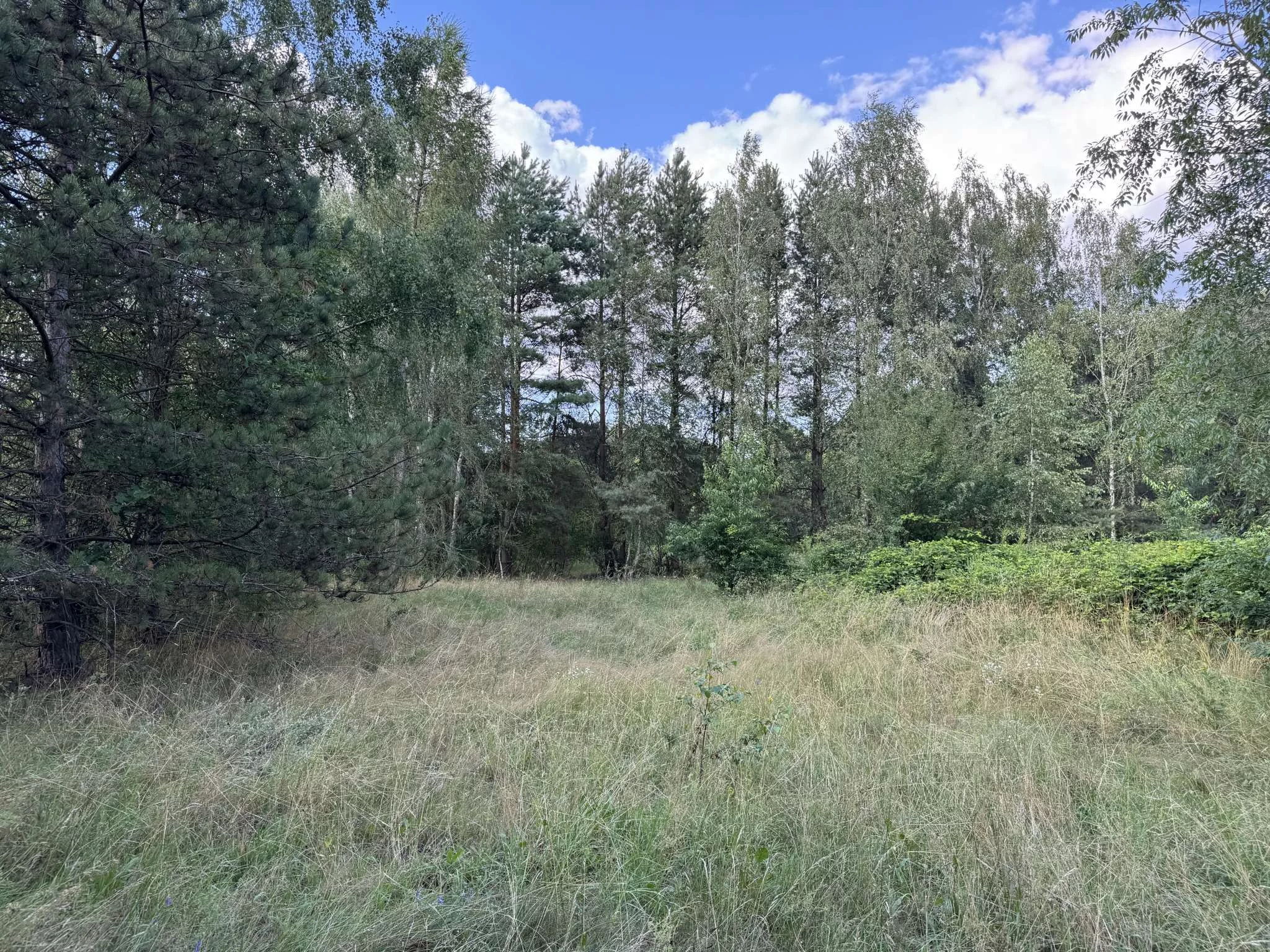 Działka 10 762,00 m², oferta nr , 567, Stare Budy Radziejowskie, Leśna