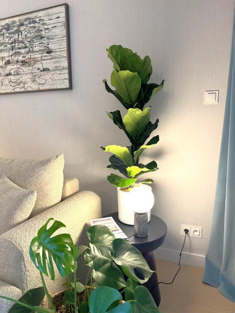 3 pokoje, mieszkanie 57,07 m², piętro 1, oferta nr , 554-10, Ostróda, Wypoczynkowa