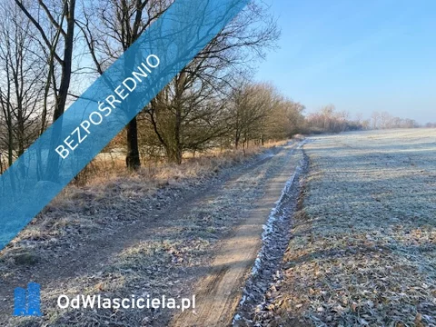 40077 - zdjęcie nr 0