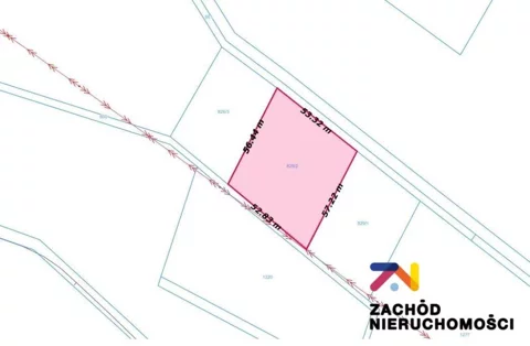 164260227 - zdjęcie nr 0
