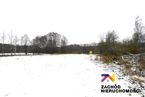 164130227 - zdjęcie nr 0