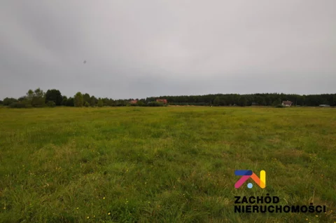 155580227 - zdjęcie nr 0