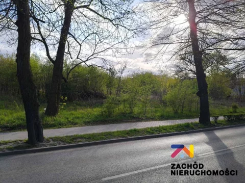 166350227 - zdjęcie nr 0