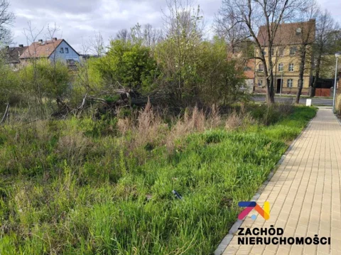 166340227 - zdjęcie nr 0