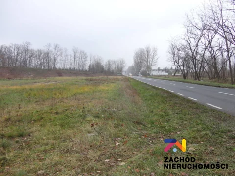 131630227 - zdjęcie nr 0