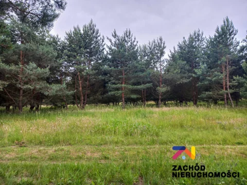 155720227 - zdjęcie nr 0