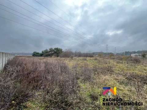 159120227 - zdjęcie nr 0