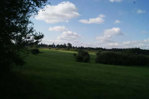 2461 - zdjęcie nr 0
