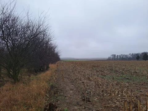 29-1 - zdjęcie nr 0