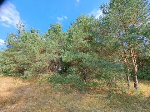 28-1 - zdjęcie nr 0